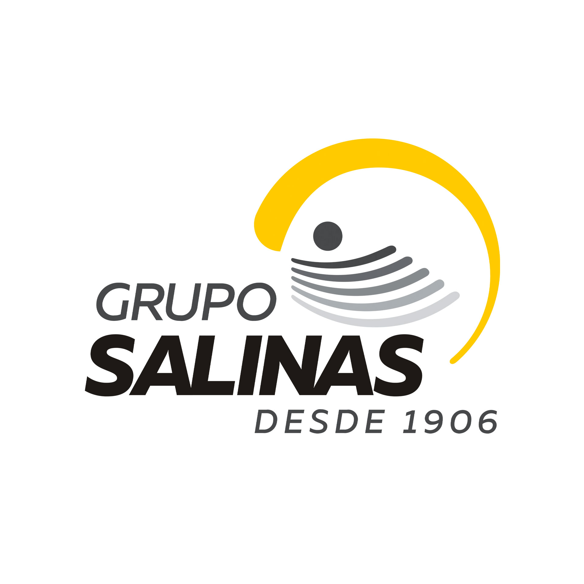 Grupo-Salinas